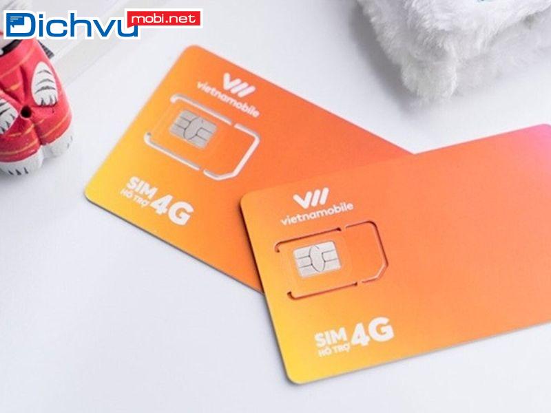 056 là mạng gì?