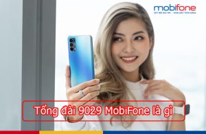 tong dai 9029