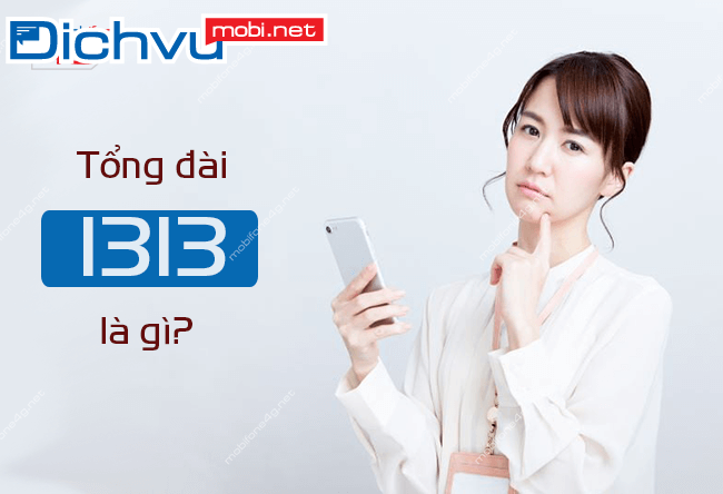 Tổng đài 1313 là gì? giải đáp chi tiết và cách xử lý khi nhận cuộc gọi