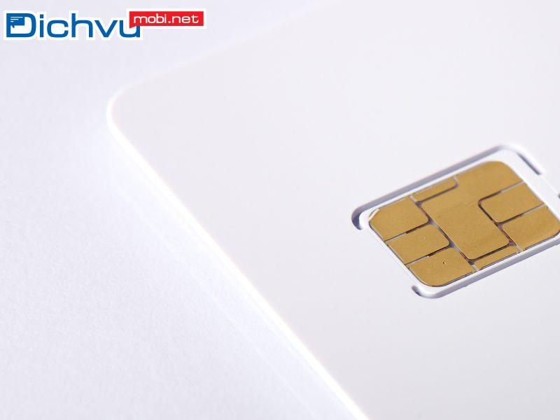 Các đầu số phổ biến trên thị trường