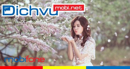 Đăng ký gói C290 của MobiFone nhận 180GB, gọi không giới hạn