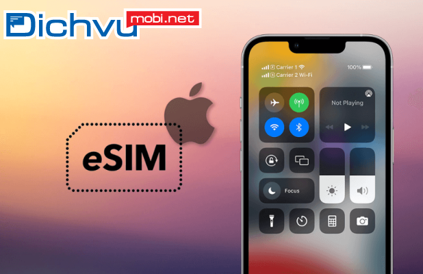 Nên dùng eSIM làm sim chính hay phụ?